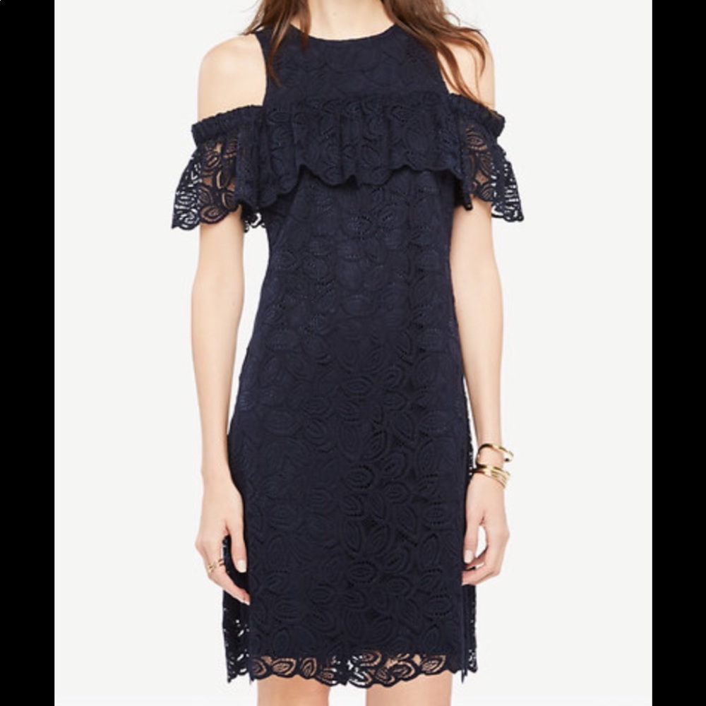 The Loft Navy Lace Cold Shoulder Dress